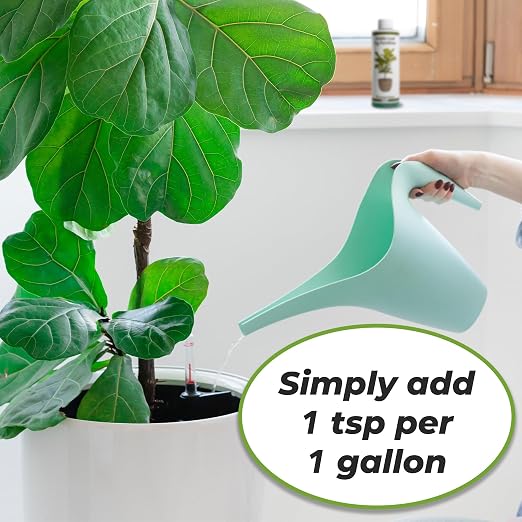 Perfect Plants Fiddle Leaf Fig Fertilizer, 8 oz, Liquid Ficus Food