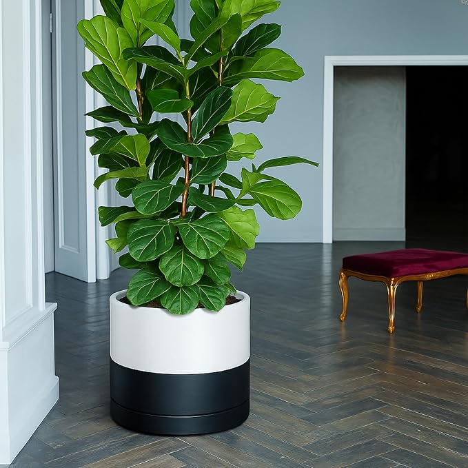 D'vine Dev 14 Inch Ceramic Planter Pot, Black White Two Tone, 94-O-G-L | Modern Cylinder Design, Drainage Hole & Saucer Included, Stable Structure, Elegant Home Accent