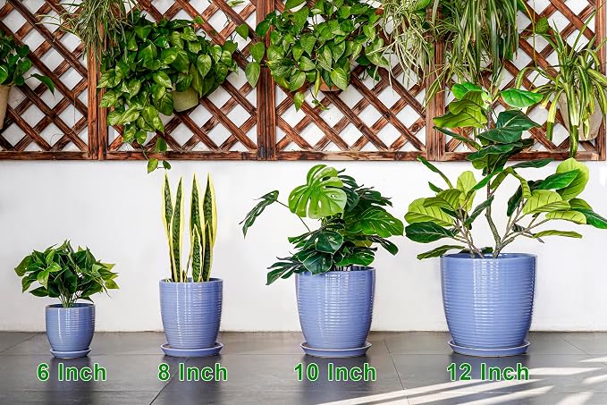 6 Inch Ceramic Pots for Plants - Ceramic Plant Pots with Drainage Hole and Saucer, Flower Pot for Indoor Plants, Round Modern Planter, Apartment Decor, Housewarming Gifts, Blue-Purple