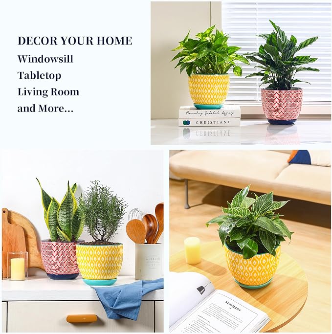 Selamica Ceramica Plant Pots, 6.5 Inch Flower Pots Set of 2 with Drainage Holes & Saucer, Planters for Indoor Plants, Home Decor, Assorted Colors