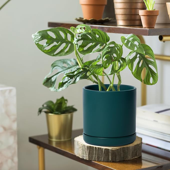 D'vine Dev 6 Inch Ceramic Planter Pot, Teal, 94-O-C-9 | Modern Cylinder Design, Drainage Hole & Saucer Included, Stable Structure, Elegant Home Accent