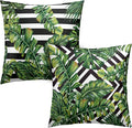 Tropical Green Leaves Throw Pillow Covers 18x18 Set of 2 Summer Palm Tree Pillow Cases Geometric Black and White Square Decorative Pillow Covers Modern Home Decor for Sofa Bed