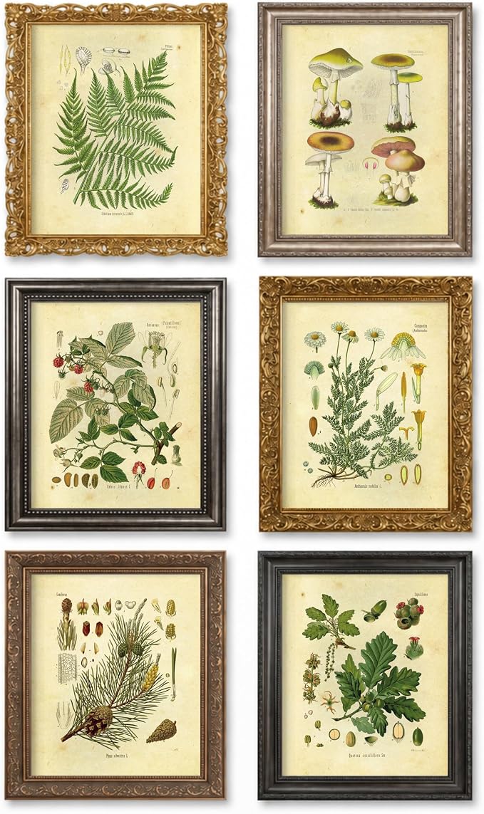 Vintage Botanical Prints | Woodland Plants by Ink Inc. | Forest Wildflower Mushrooms Wall Art | Boho Farmhouse Decor | Set of 6 8"x10" Unframed