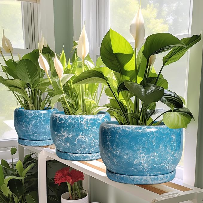 SQOWL 6 Inch Plant Pot - Ceramic Indoor Planter with Drainage Hole and Saucer, Decorative Ceramic Flower Pot Outdoor, Round Succulent Planter, Home Office Room Decor, Gifts for Plant Lovers, Blue