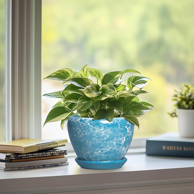Ceramic Planters for Indoor Plants, 6 Inch Plant Pot, Bubble Blue | Round Plant Pots with Drainage Hole and Saucer, Modern Decorative Succulent Planter, Desk Decor, Gifts for Plant Lovers