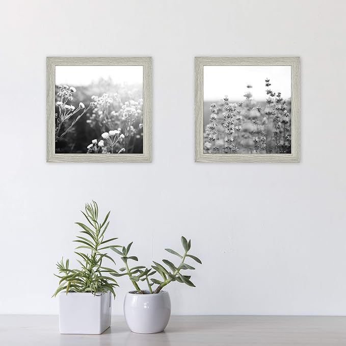 MCS Gallery Essential Picture Frame Set 8x8 Gray Woodgrain, Square Wall Hanging Picture Frames for Photos & Art Prints (2-Pack)