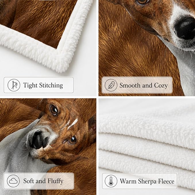 BlessLiving Throw Blanket, Brown Dog Animal Gift, 50x60 in | sherpa fleece fabric, Basenji Large Pet Blankets Puppy Lovers print, for couch or sofa, pet lovers, easy machine care