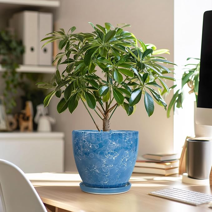6 Inch Ceramic Plant Pot - Ceramic Planters Indoor, Blue | Round Decorative Planter with Drainage Hole and Saucer, Modern Planters, Desk Office Decor, Housewarming Gifts