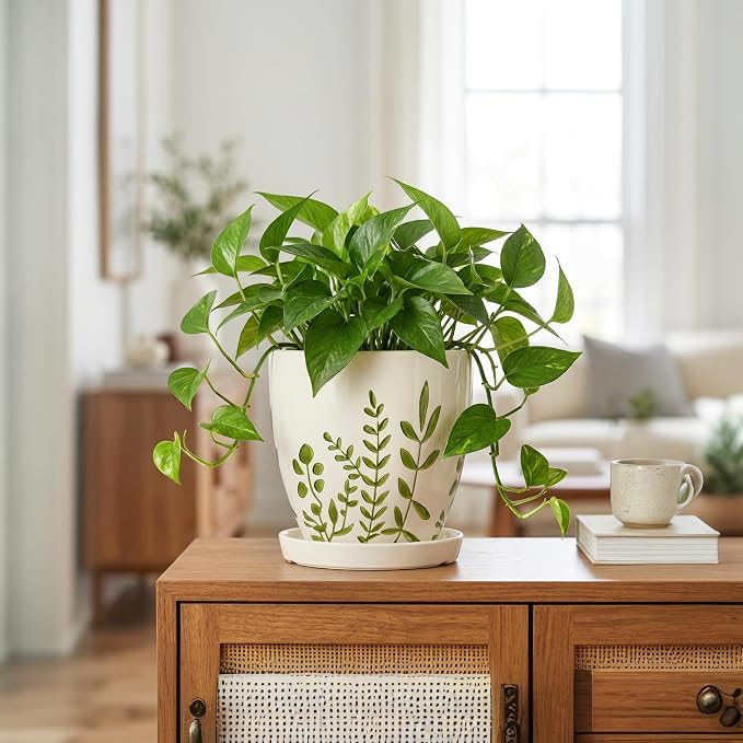 MPotTo Ceramic Pots for Plants - 6 Inch Plant Pot for Indoor Outdoor Plants, Ceramic Planter with Drainage Hole and Saucer, Decorative Round Planter, Gifts for Plant Lovers, Home Room Decor, White