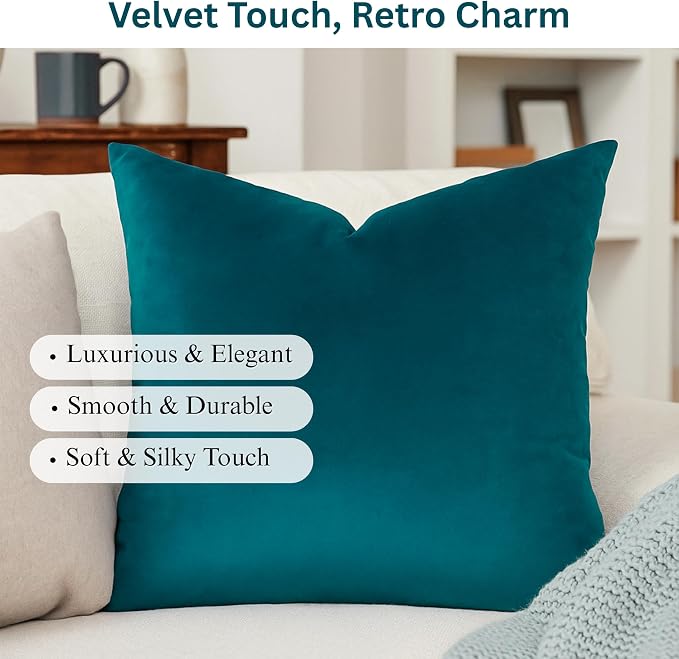 RELY+ Pack of 2 Throw Pillow Covers 20x20 Inch Velvet Soft Cozy Solid Decoration Gifts Pillow Covers Luxury Cushion Case for Sofa Couch Bedroom Living Room (Teal, 20 x 20)