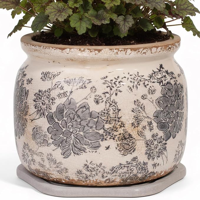 Rustic Ceramic Plant Pot with Decorative Saucer, Gifts for Plant Lovers | 7.7" Large Indoor Flower Pot, Handmade Vintage Crackled Glaze Planter, Farmhouse Country Home Decor, Gardening Gifts
