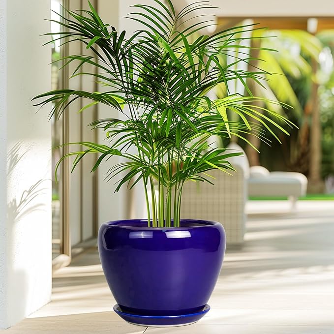 Ceramicfor Ceramic Plant Pot 8 Inch, Planter for Indoor Plants, Royal Blue | Indoor Plant Pot with Drainage Hole and Saucer, Round Planter, Modern Flower Pot, House Decor, Plant Lovers Gifts