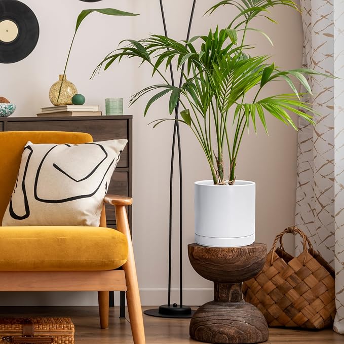 D'vine Dev 8.2 Inch Ceramic Planter Pot, White, 94-O-D-1 | Modern Cylinder Design, Drainage Hole & Saucer Included, Stable Structure, Elegant Home Accent