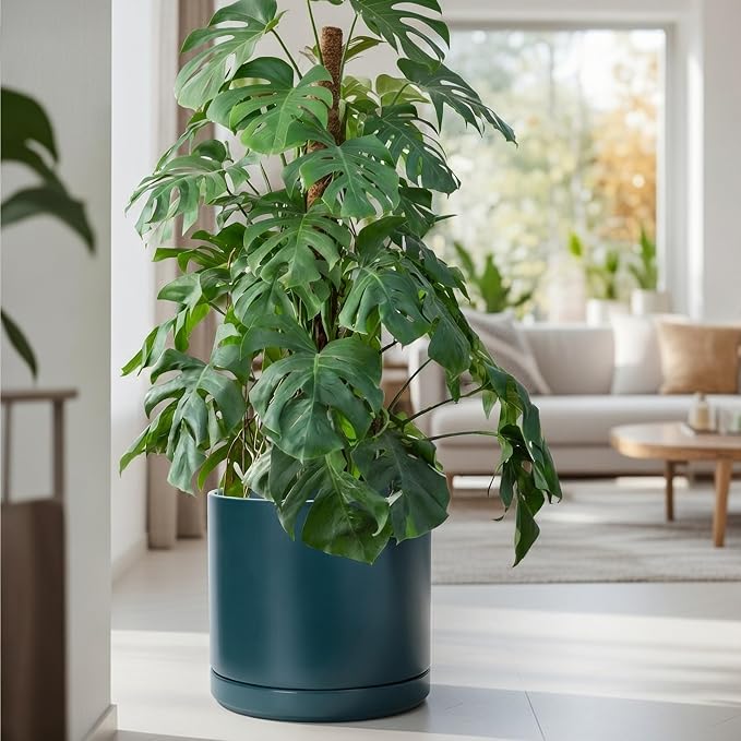D'vine Dev 14 Inch Ceramic Planter Pot, Teal, 94-O-G-9 | Modern Cylinder Design, Drainage Hole & Saucer Included, Stable Structure, Elegant Home Accent