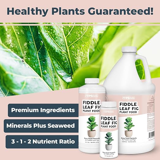 Fiddle Leaf Fig Fertilizer, Liquid Plant Food for Bigger Leaves, 32 oz
