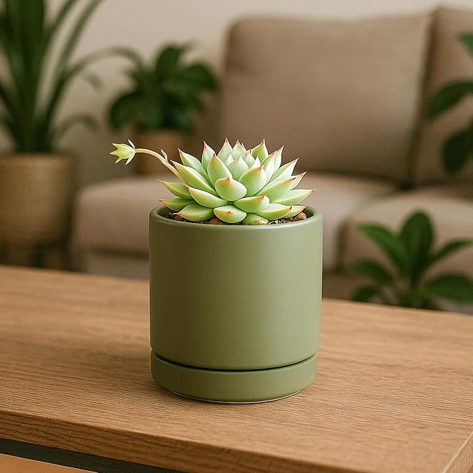 D'vine Dev 3.5 Inch Ceramic Planter Pot, Olive, 94-O-A-J | Modern Cylinder Design, Drainage Hole & Saucer Included, Stable Structure, Elegant Home Accent