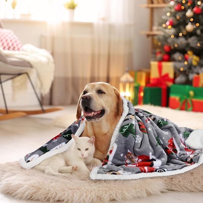 Catalonia Christmas Sherpa Throw Blanket, Xmas Theme Throws, Plush Fleece Couch Blanket |Super Soft, Comfy, Cozy, Fluffy, Warm | 50x60 inch,Truck