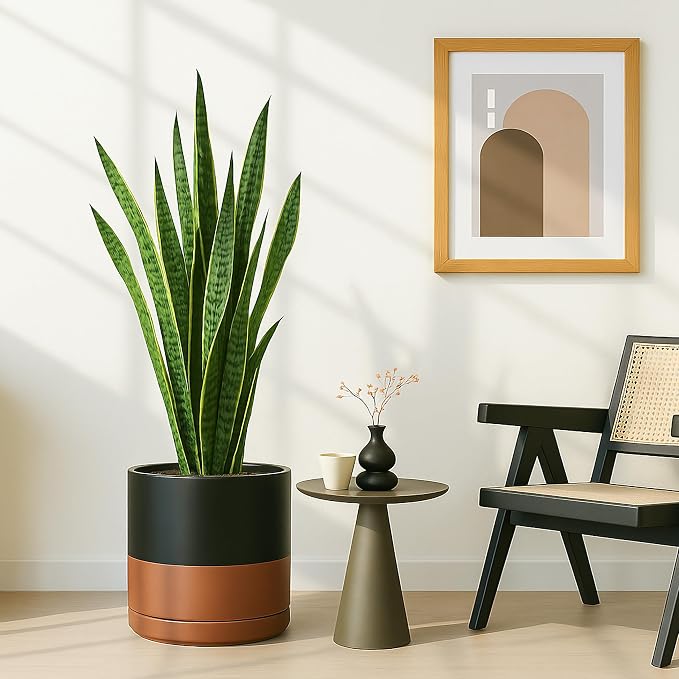 D'vine Dev 12 Inch Ceramic Planter Pot, Black/Tan, 94-O-F-7 | Modern Cylinder Design, Drainage Hole & Saucer Included, Stable Structure, Elegant Home Accent