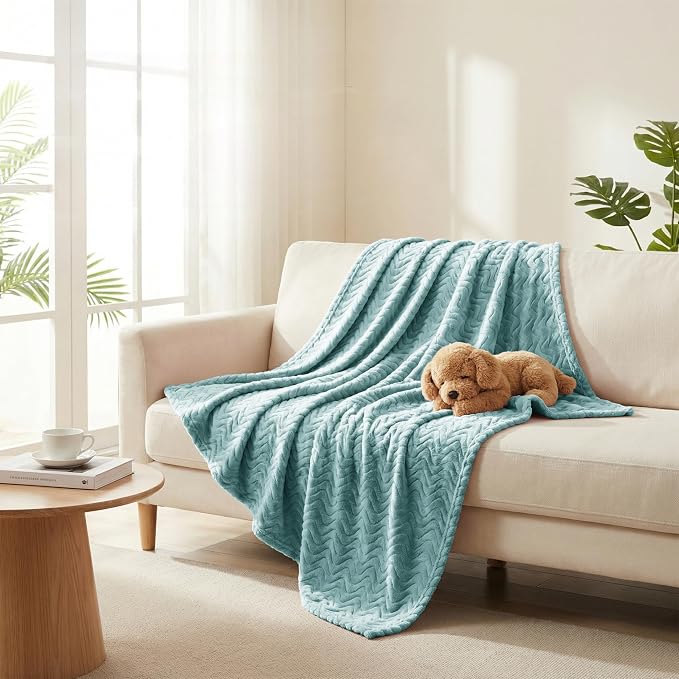 Exclusivo Mezcla Soft Fleece Blanket Queen Size for Bed, Sofa, Celadon | 90"x90" Breathable Lightweight Flannel Blanket for Summer, Plush Cozy Jacquard Wave for Home Decor