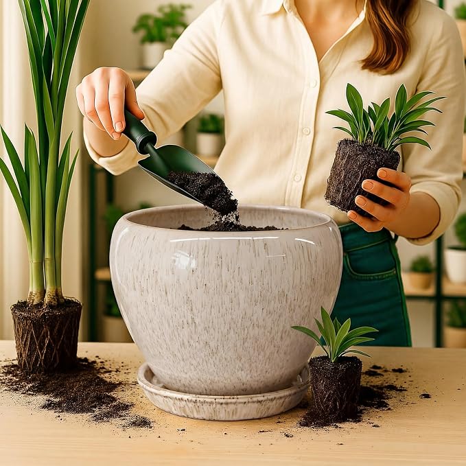 Deep Dream 10 Inch Plant Pot- Ceramic Planter Pot Round Plant Pots for Indoor Plants Outdoor Large Flower Pot with Drainage Holes & Trays, Beige