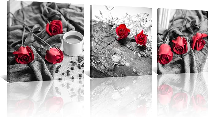 NAN Wind Canvas Print 3 Pcs Black and White Red Rose Canvas Art Painting Abstract Wall Art Decorations Flower Picture on Canvas for Home Decor Stretched and Framed (20X20inchX3pcs, B&w Rose)
