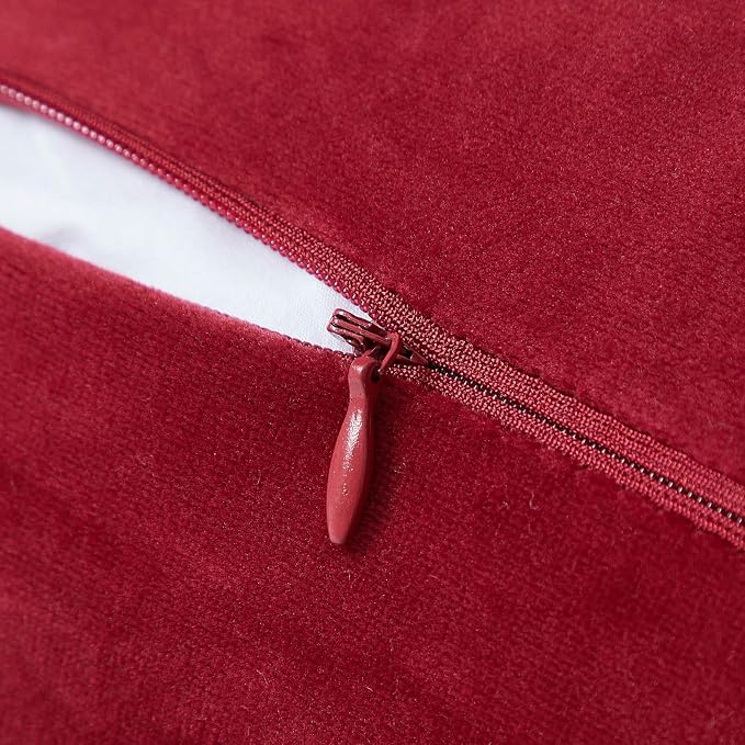 JUSPURBET Pack of 2 Red Decorative Fringe Velvet Throw Pillow Covers 20x20 for Home Decor Living Room Bedroom Car Boho Soft Cushion Cover with Hidden Zipper Machine Washable
