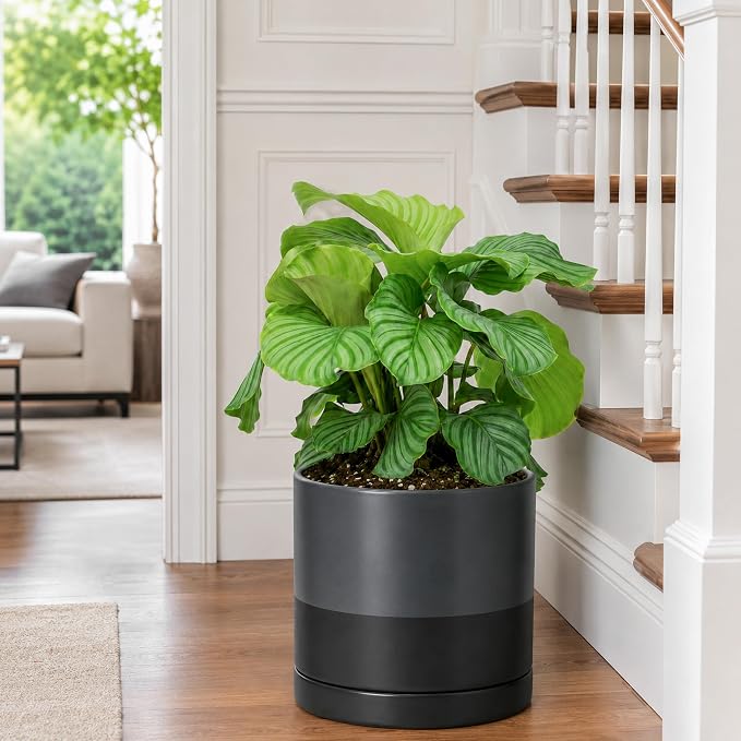 D'vine Dev 10 Inch Ceramic Planter Pot, Slate, 94-O-E-5 | Modern Cylinder Design, Drainage Hole & Saucer Included, Stable Structure, Elegant Home Accent