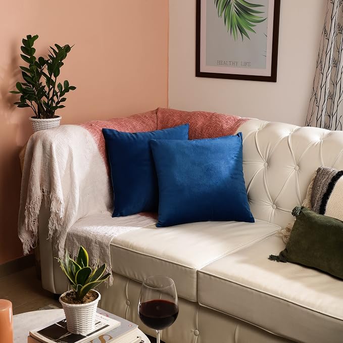 RELY+ Pack of 2 Throw Pillow Covers 18x18 Inch Velvet Soft Cozy Solid Decoration Gifts Pillow Covers Luxury Cushion Case for Sofa Couch Bedroom Living Room (Blue, 18 X 18)