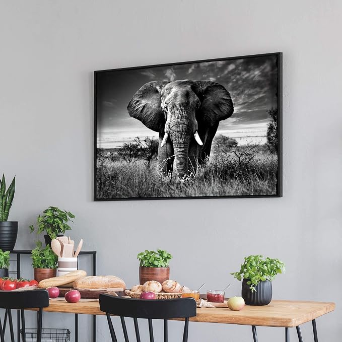 Framed Elephant Picture Wall Decor: Black White African Animals Painting Tropical Wildlife Prints Nature Artwork For Bedroom Living Room 45x30
