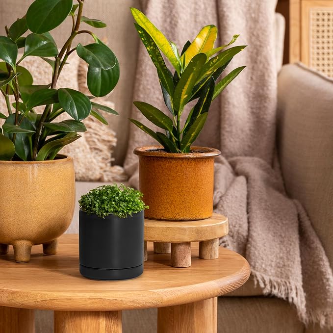 D'vine Dev 3.5 Inch Ceramic Planter Pot, Black, 94-O-A-2 | Modern Cylinder Design, Drainage Hole & Saucer Included, Stable Structure, Elegant Home Accent