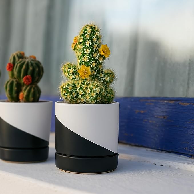 D'vine Dev 3.5 Inch Ceramic Planter Pot, Black White Diagonal, 94-O-A-K | Modern Cylinder Design, Drainage Hole & Saucer Included, Stable Structure, Elegant Home Accent