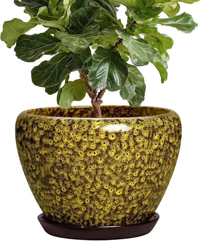 10 Inch Ceramic Pots for Plants, Indoor Plant Pot, Yellow Leopard | Round Planters for Indoor Plants, Modern Large Planter with Drainage Hole and Saucer, Garden Decor, Gifts for Gardeners