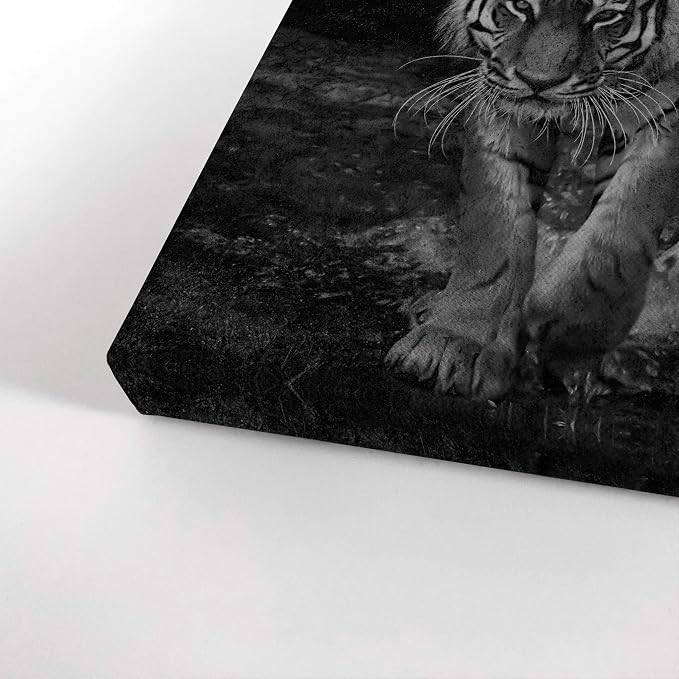 Smile Art Design It's Time to Shine Black and White Tiger Motivational Wall Art Canvas Print Inspirational Wall Art Entrepreneur Quote Modern Office Living Room Decor Gift Ready to Hang 28x19