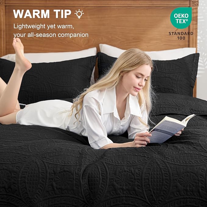 Love's cabin Quilts for Full Bed Black Bedspreads Bedding Set - Lightweight Bedspread Comforter - Coin Pattern Bedding Coverlet for All Season - 3 Pieces (1 Quilt, 2 Pillow Shams)