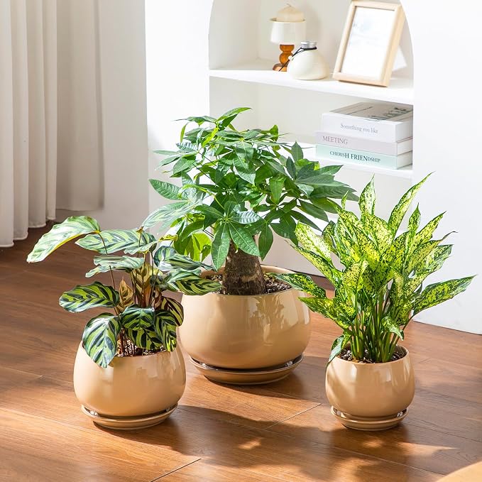 vancasso 3-Pack Ceramic Plant Pots, 7.3/9.6/11.6 Inch Indoor Planters with Saucers & Drainage Hole Planter pots for Indoor Plants and Flower, Brown