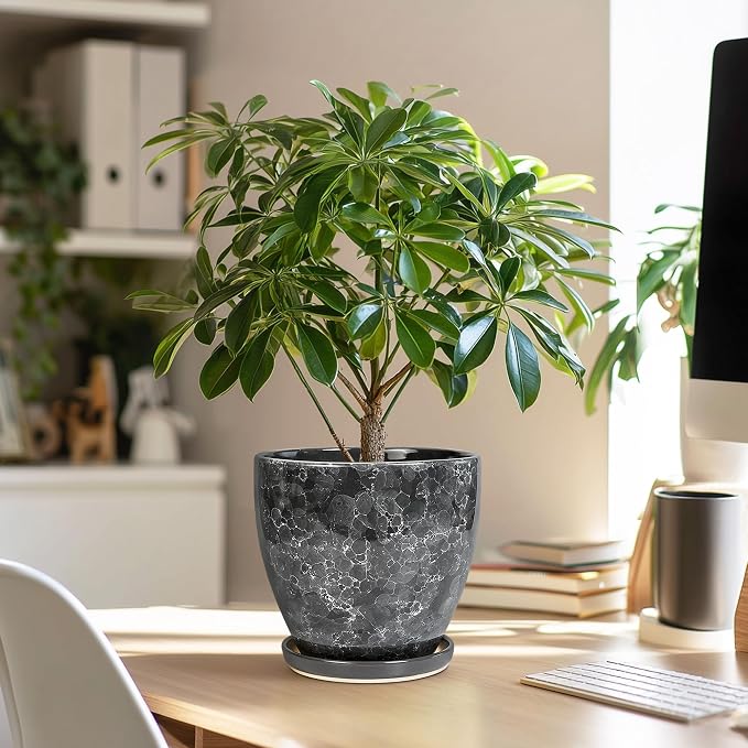 Ceramic Pots for Plants - 6 Inch Ceramic Planter with Drainage Hole and Saucer, Modern Planters for Indoor Outdoor Plants, Round Planter, Home Garden Decor, Plant Lover Gifts, Grey