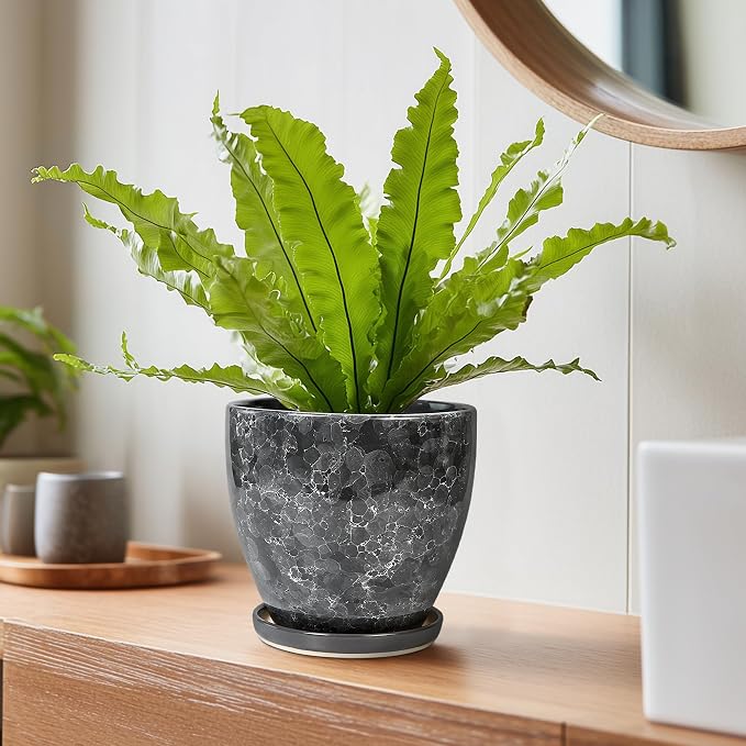 Ceramic Pots for Plants - 6 Inch Ceramic Planter with Drainage Hole and Saucer, Modern Planters for Indoor Outdoor Plants, Round Planter, Home Garden Decor, Plant Lover Gifts, Grey