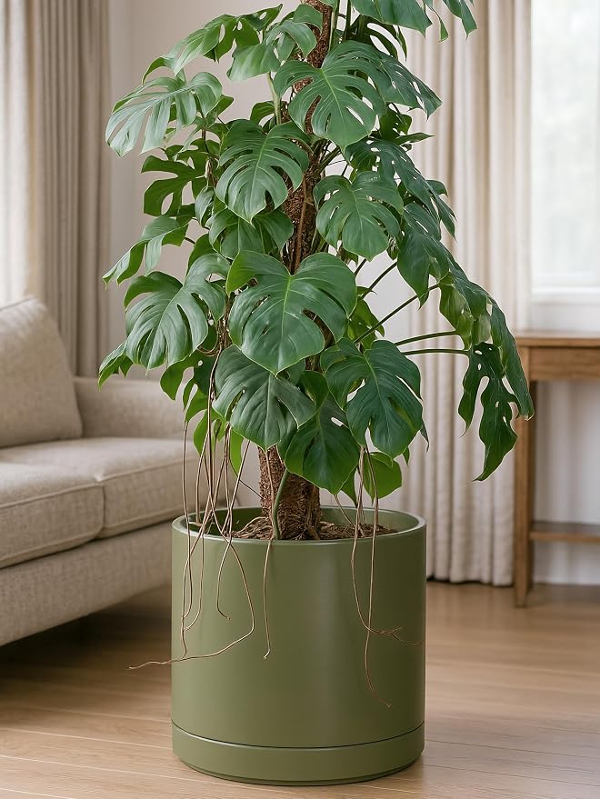 D'vine Dev 14 Inch Ceramic Planter Pot, Olive, 94-O-G-J | Modern Cylinder Design, Drainage Hole & Saucer Included, Stable Structure, Elegant Home Accent