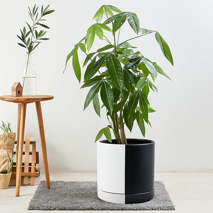 D'vine Dev 10 Inch Ceramic Planter Pot, Black White Split, 94-O-E-0 | Modern Cylinder Design, Drainage Hole & Saucer Included, Stable Structure, Elegant Home Accent