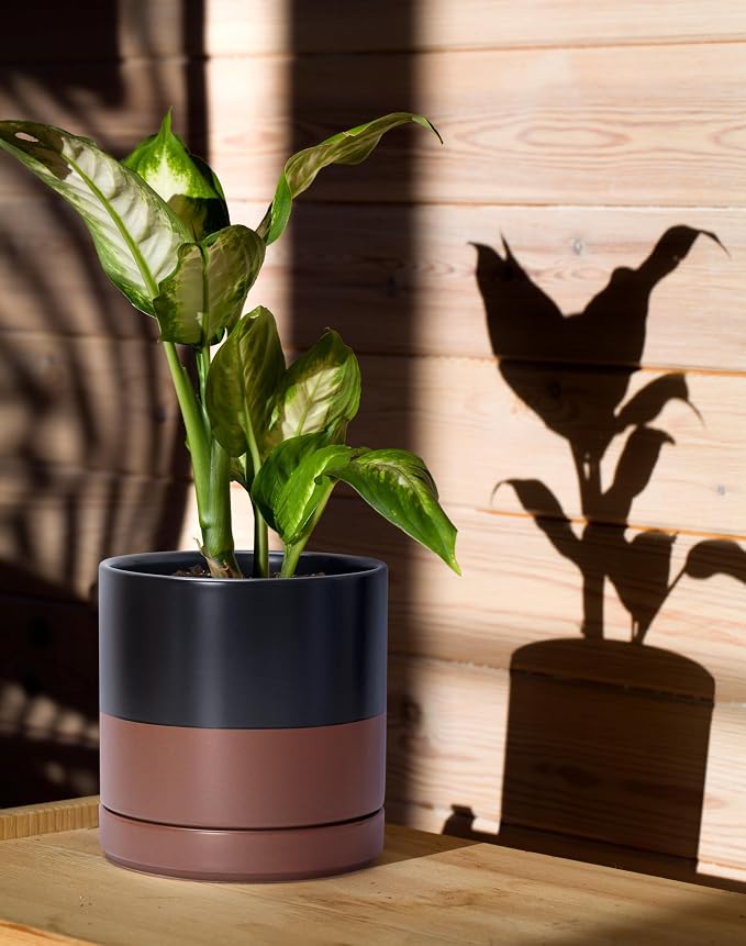 D'vine Dev 6.5 Inch Ceramic Planter Pot, Black/Tan, 94-O-C-7 | Modern Cylinder Design, Drainage Hole & Saucer Included, Stable Structure, Elegant Home Accent
