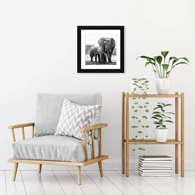 Americanflat 11x11 Picture Frame with Shatter-Resistant Glass - Use as 8x8 Frame with Mat or Display 11x11 Photo Without Mat - Signature Collection - Square Frames for Wall Display - Black