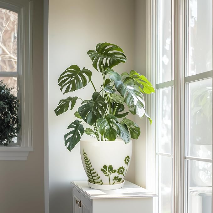 MPotTo 8.2 Inch Plant Pot - Ceramic Planter for Indoor Outdoor Flowers, Boho Round Decorative Indoor Flower Pot with Drainage Hole and Saucer, Gifts for Plant Lovers, Office Garden House Decor, White