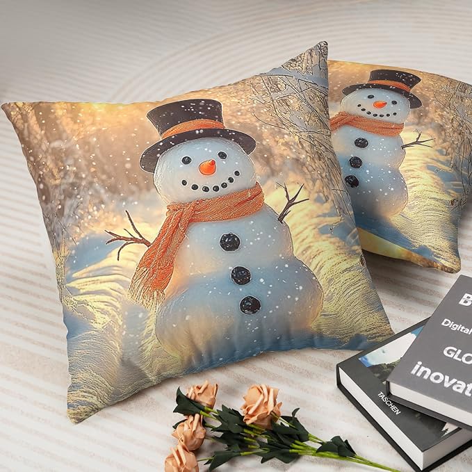 Winter Pillow Covers Snowman in The Sunshine Throw Pillow Covers 22x22 Snowflakes Pillow Case Double Sided Printing Cushion Case for Home Decor Couch Sofa Set of 2