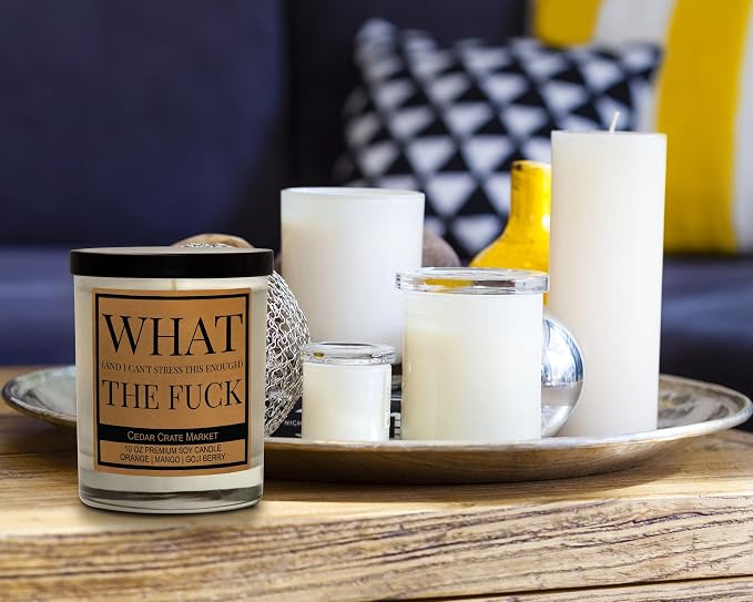 What (and I Can't Stress This Enough) The F, Best Friend, Friendship Gifts for Women or Men, Birthday, Going Away, Funny Gifts for Friends, Long Distance, Funny Candle, Scented Soy 10 oz Candle