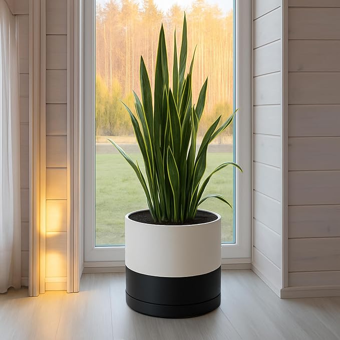 D'vine Dev 14 Inch Ceramic Planter Pot, Black White Two Tone, 94-O-G-L | Modern Cylinder Design, Drainage Hole & Saucer Included, Stable Structure, Elegant Home Accent