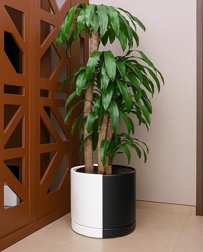 D'vine Dev 12 Inch Ceramic Planter Pot, Black White Split, 94-O-F-0 | Modern Cylinder Design, Drainage Hole & Saucer Included, Stable Structure, Elegant Home Accent