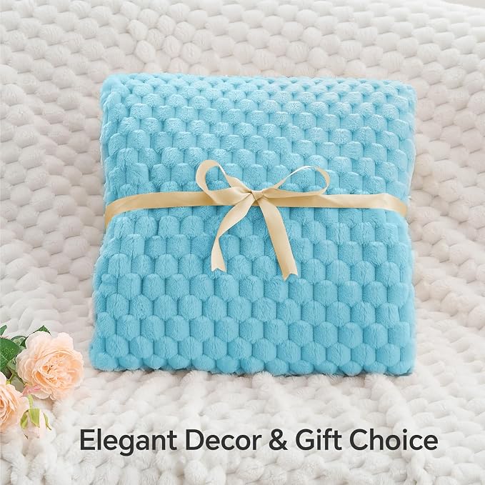 BEDELITE Light Blue Twin Blanket for Couch, Soft Cozy Gift for Women, 60*80 | 3D Jacquard Decorative Fleece Blanket, Super Soft Plush Throws, Cute Birthday Gift for Women & Men, Suitable for All Seasons