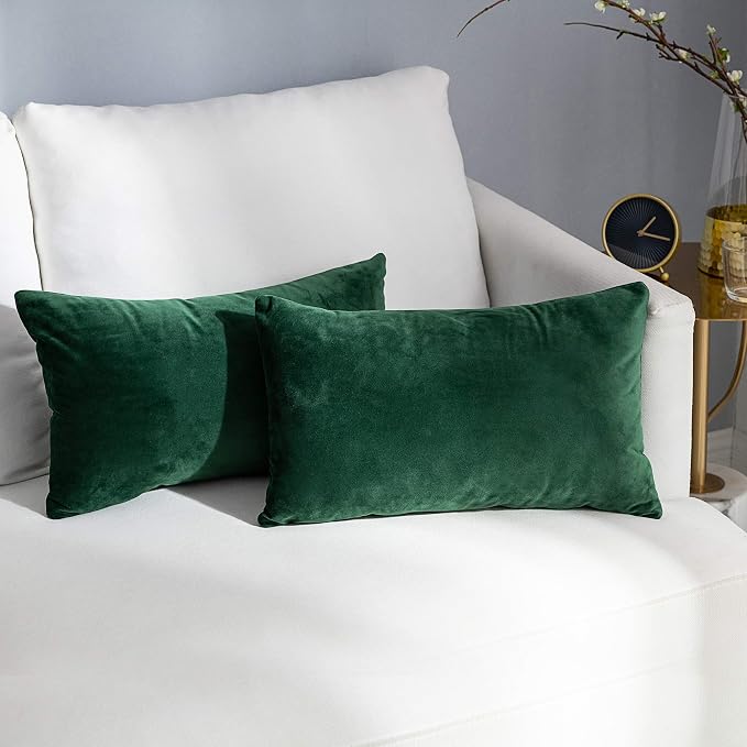 Stellhome Pack of 2 Throw Pillow Covers Rectangle Super Soft Solid Velvet Pillowcase for Bed Couch Sofa Bench, 12 x 20 inch (30 x 50 cm), Olive