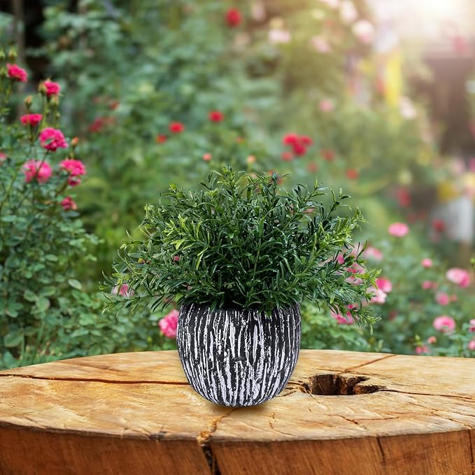 Winlyn Set of 3 Artificial Potted Plants Faux Eucalyptus Rosemary Boxwood Greenery in Black & White Concrete Pots Small Fake Plant for Indoor Outdoor Home Office Table Shelf Windowsill Greens Décor