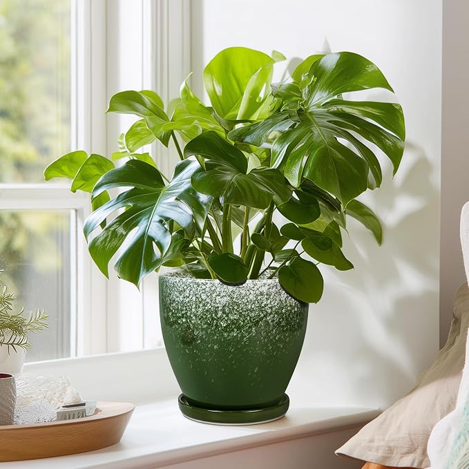 6 Inch Plant Pot - Ceramic Plant Pots with Drainage Hole and Saucer, Ceramic Planter for Indoor Outdoor Plants, Round Modern Planter, Room House Decor, Gifts for Women Men, Green